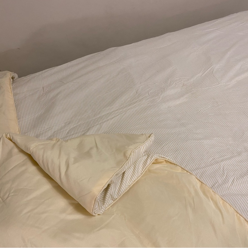 Elle Decor Ivory & Yellow Comforter Twin / Twin XL